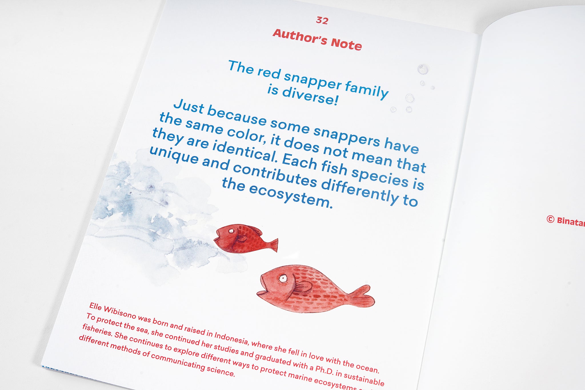 A Snapper Tale from Elle Wibisono published by Binatang Press