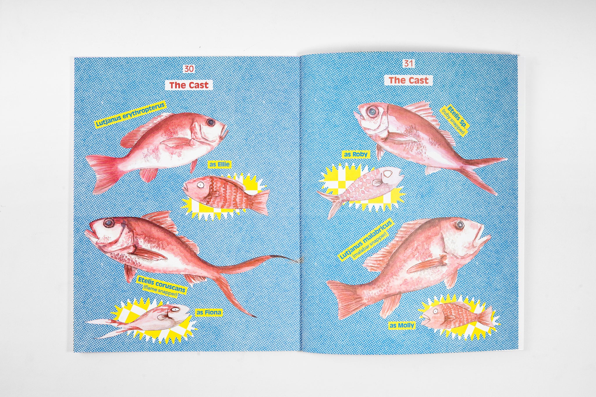 A Snapper Tale from Elle Wibisono published by Binatang Press