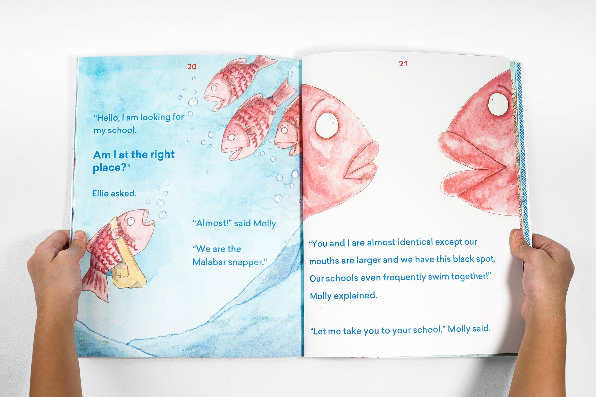 A Snapper Tale from Elle Wibisono published by Binatang Press