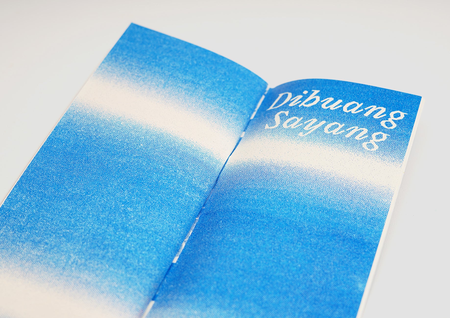 Tua Di Jalan from Andrea Reza & Ade Winata published by Binatang Press
